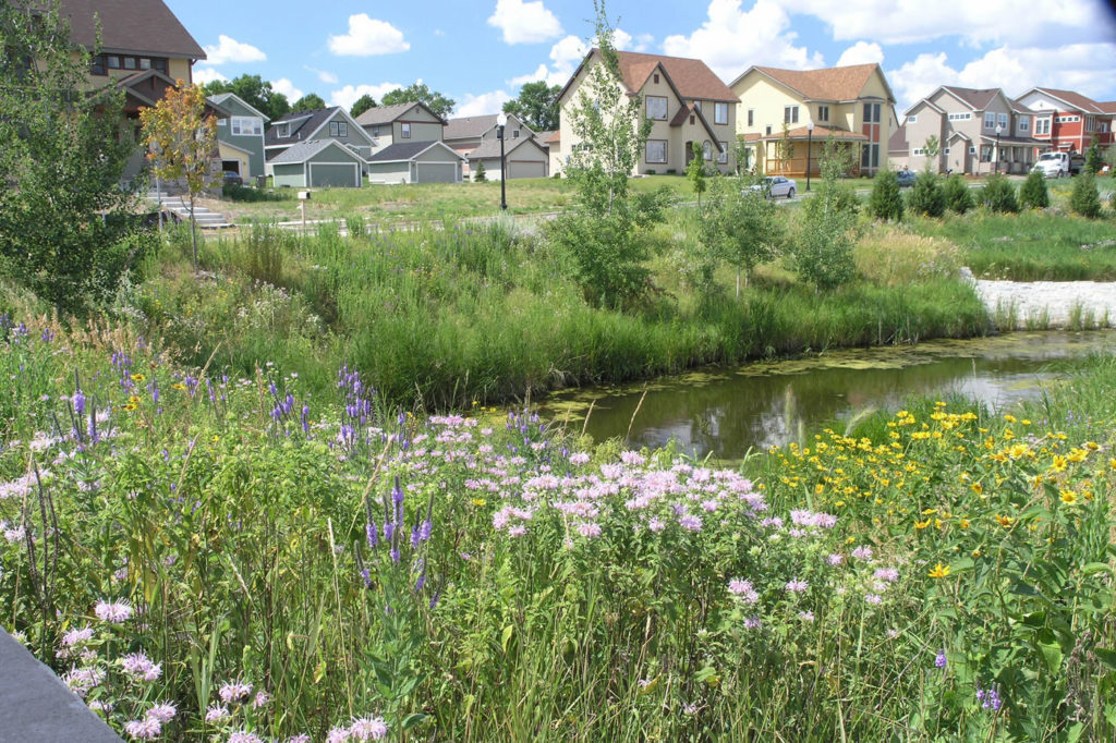 Native prairie plants serves as both a stormwater control measure and a natural attraction.