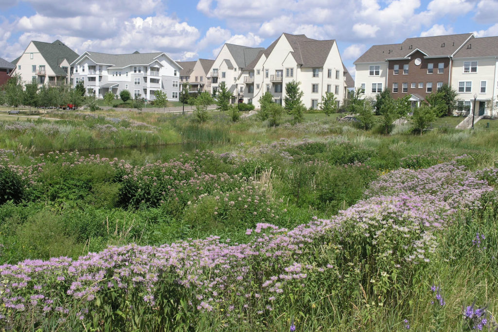 A filtration basin designed to capture and clean stormwater runoff.