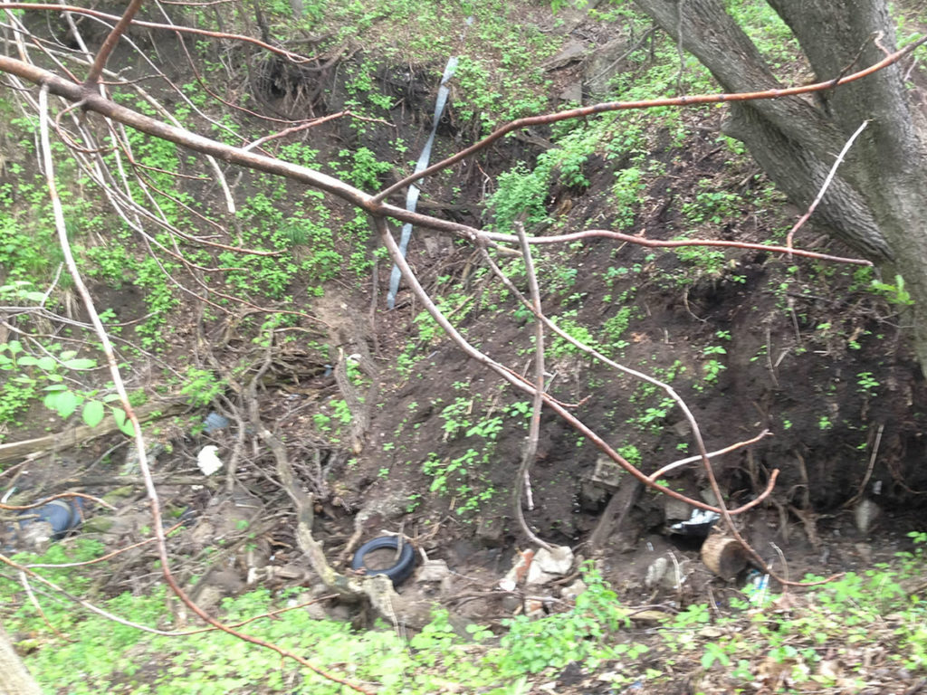 The Stevenson Ravine, pre-restoration: a tangle of trash, debris and eroding soil.