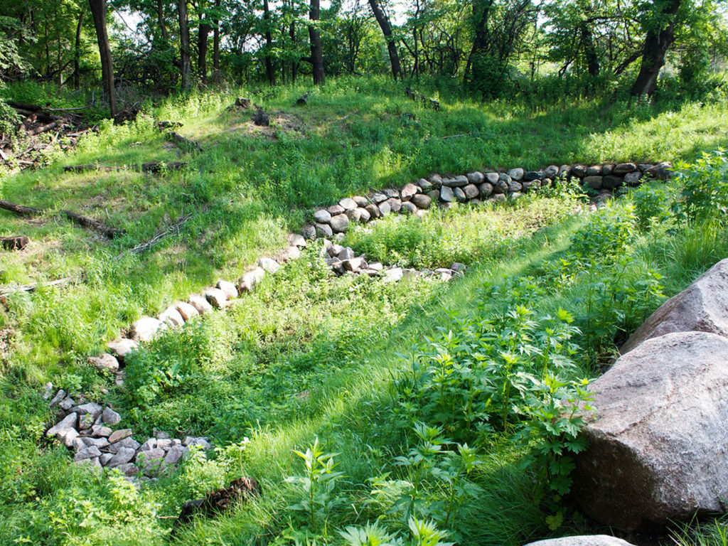 The restored Stevenson Ravine.