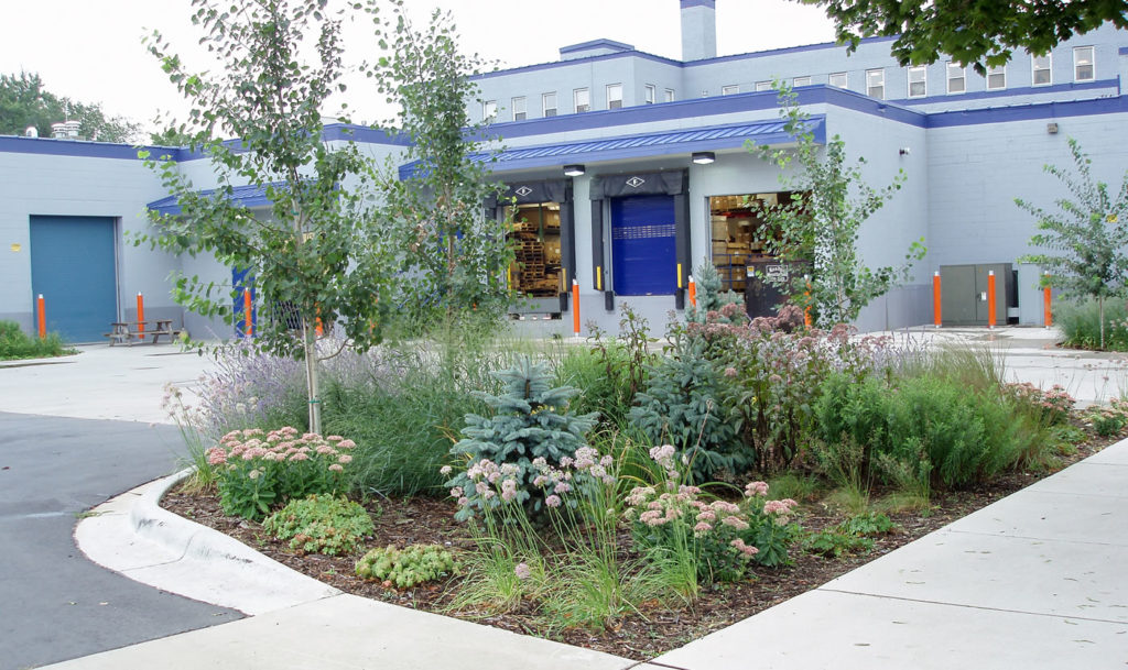 7-SIGMA's rain gardens, as seen in August 2016.