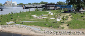 The MWMO Stormwater Park and Learning Center backyard.