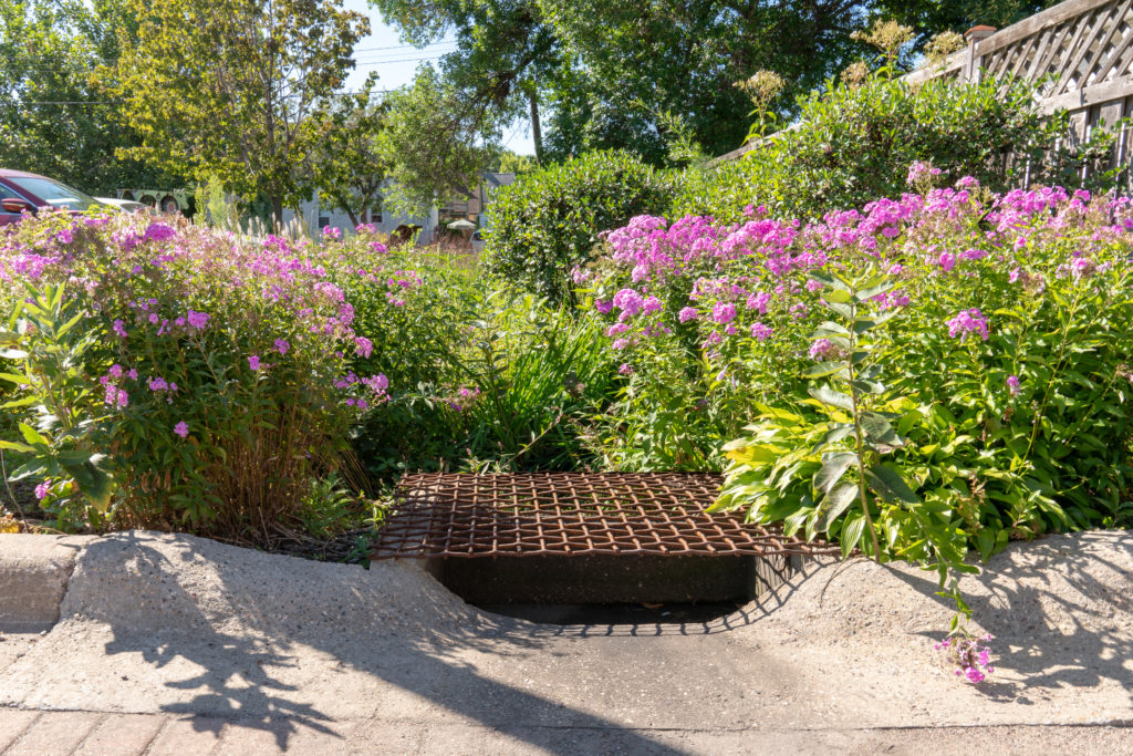The landscaping at Sentyrz is designed to absorb up to 22,000 gallons of runoff per 1-inch rain event.