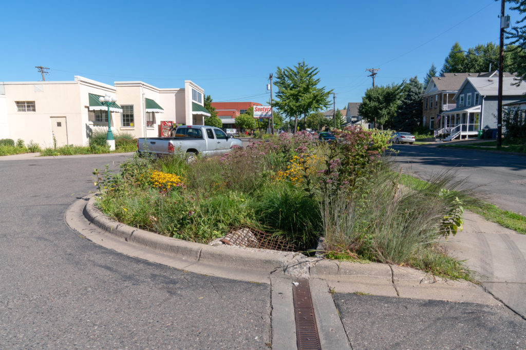 One of four rain gardens installed at Sentyrz Market.