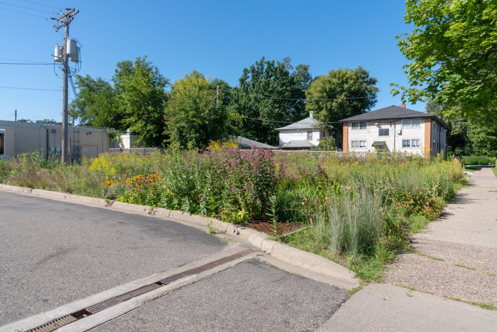 Sentyrz Supermarket northern rain garden