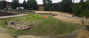Stormwater outlet and bioretention basin.