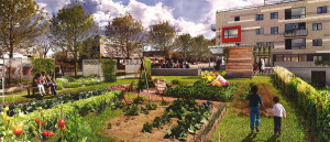 An artist's rendering of the community garden at The Rose.