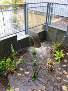 Water pouring over the wier toward the main raingarden.