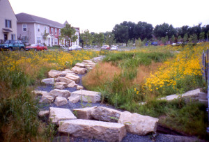 A dry creek bed at Heritage Park in Minneapolis.