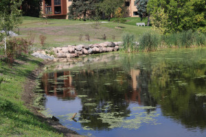 LaBelle Pond, the centerpiece of LaBelle Park.