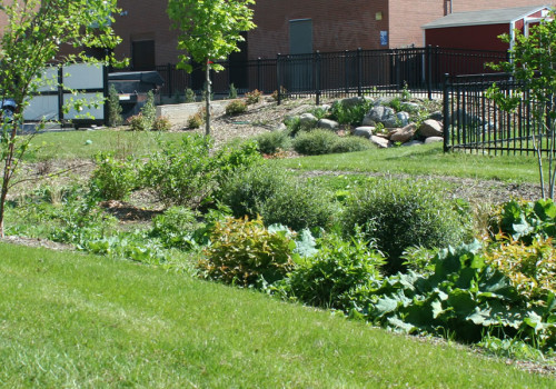 A view of the raingarden at Grace Center.
