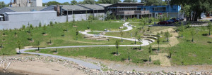 The Stormwater Park and Learning Center backyard after restoration.