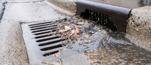 Leaves and debris flowing into a stormdrain.