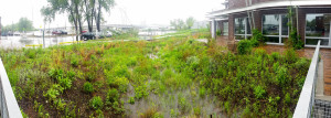 A view of the MWMO's main raingarden during a flood.