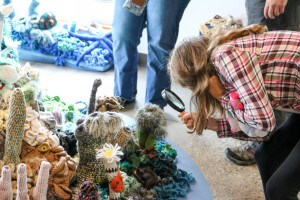 A visitor examines the MWMO's crochet coral exhibit.