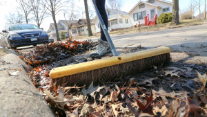 Sweeping leaves out of stormdrains.