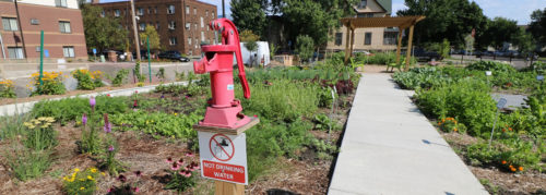 A hand pump that pulls from a stormwater cistern at The Rose's community garden.
