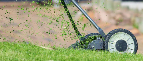 Grass clippings flying from a push-reel lawn mower.