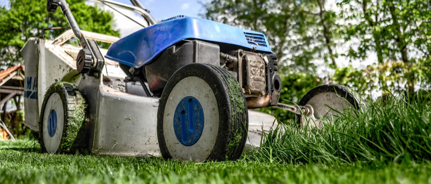 Close-up of a lawn mower cutting grass.