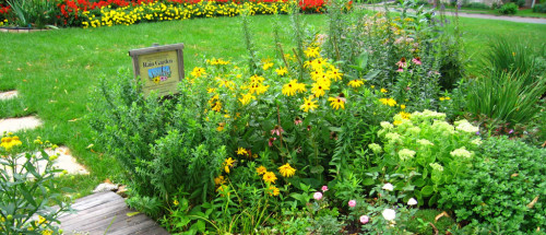 a raingarden with a stepping stone path