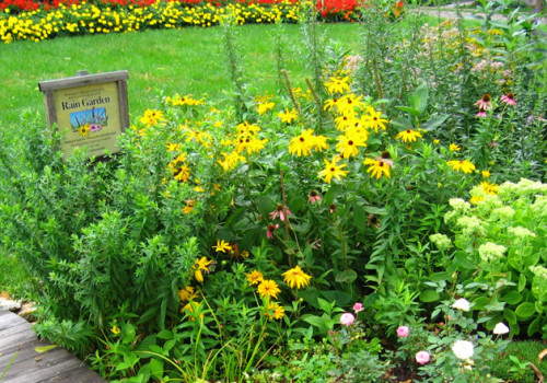 a raingarden with a stepping stone path