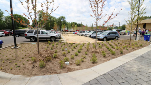 stormwater BMPs at the Columbia Heights Library