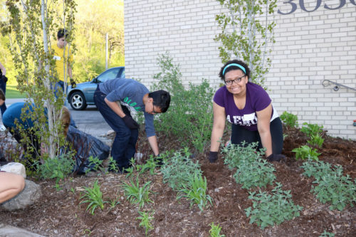 Volunteers from Church of the Open Door helping maintain the raingarden at FamilyWise.