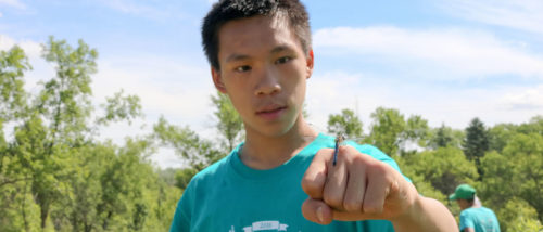 A Mississippi River Green Team member displays a blue dasher dragonfly.