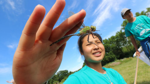 A Mississippi River Green Team member holds a dragonfly.