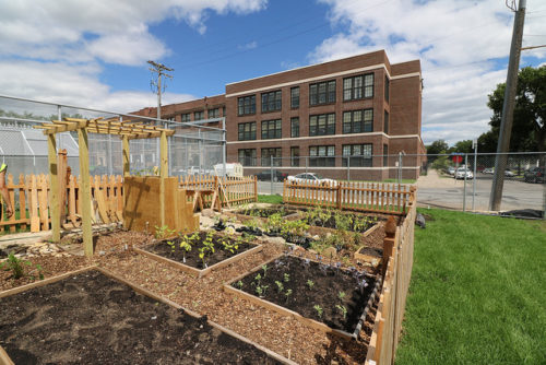 The new community garden at Edison High School.