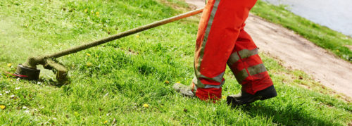A maintenance worker using a trimmer to cut grass.