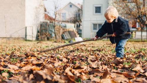A child raking leaves in autumn.