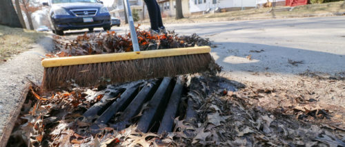 Sweeping leaves out of a stormdrain grate.