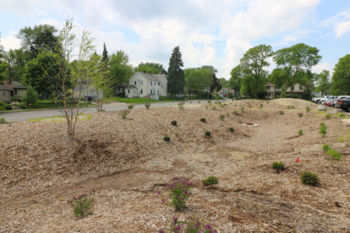 The completed raingarden on May 16, 2017