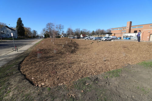 The completed raingarden on Nov. 10, 2016.