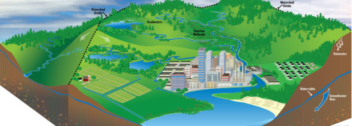 illustration of a watershed