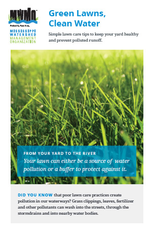 Green Lawns Clean Water brochure cover