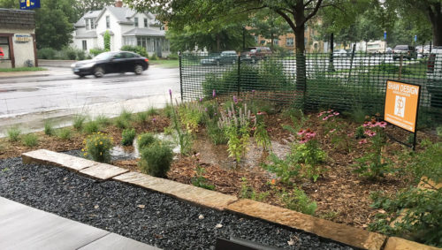 Runoff flows into the raingarden during a storm.
