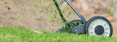 Push-reel lawn mower cutting grass.