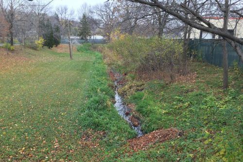 The pond prior to reconstruction, taken from the same angle in November 2015.