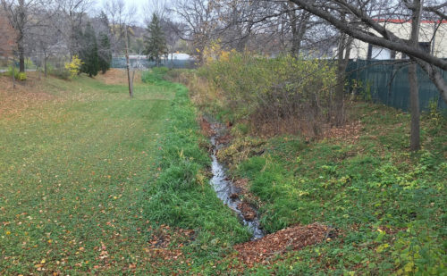 The pond prior to reconstruction, taken from the same angle in November 2015.