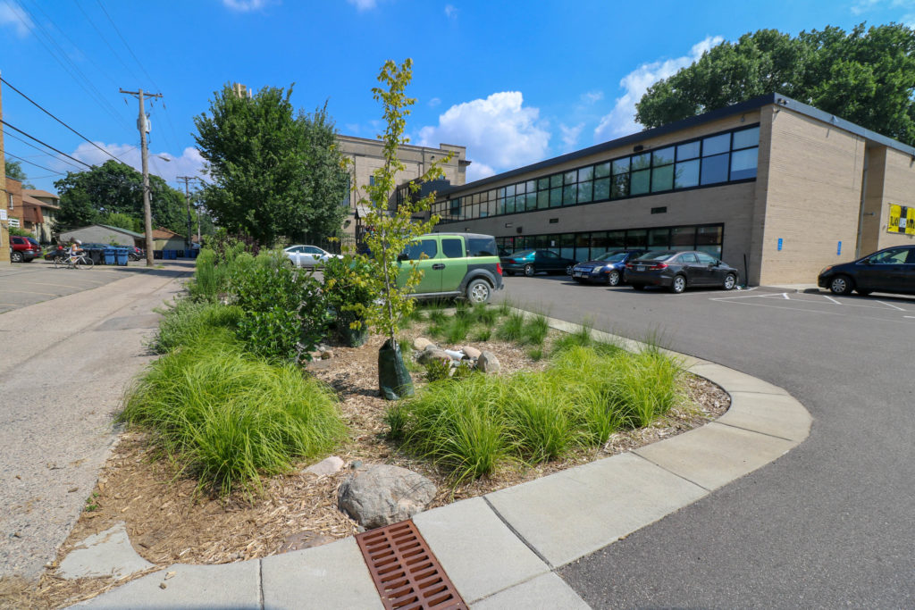 A rain garden on the west end of the parking lot. Note the pipe, which conveys runoff from the building's roof.