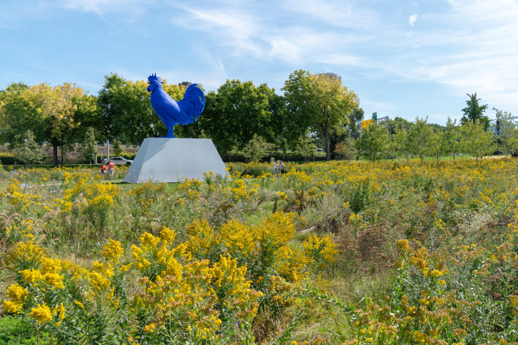 Fresh meadow at the Minneapolis Sculpture Garden