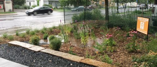 Raingarden filling with water during a storm.