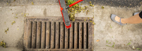 Sweeping leaves away from a stormdrain.