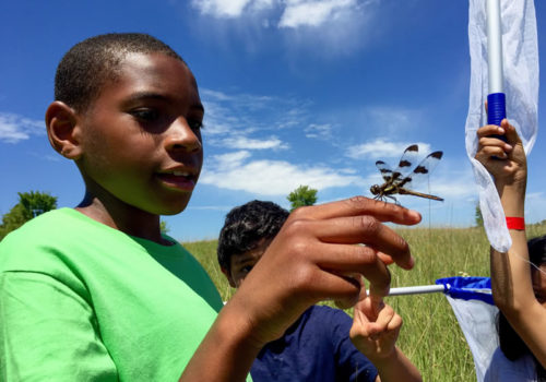 Student with dragonfly.
