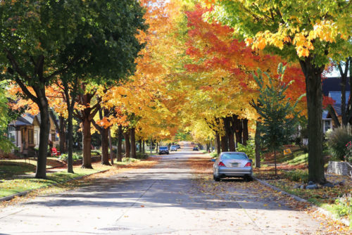 Fall colors in the Audubon Neighborhood of Northeast Minneapolis. 