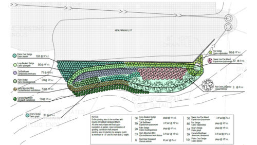 Raingarden planting plan for Riverwood Apartments in Fridley.