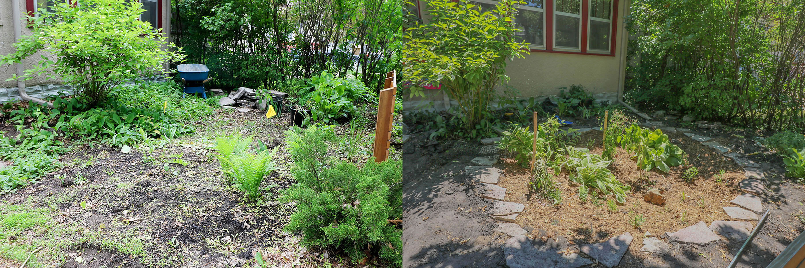 Tessa Anttila’s front yard before (left) and after (right) the installation of a raingarden. 