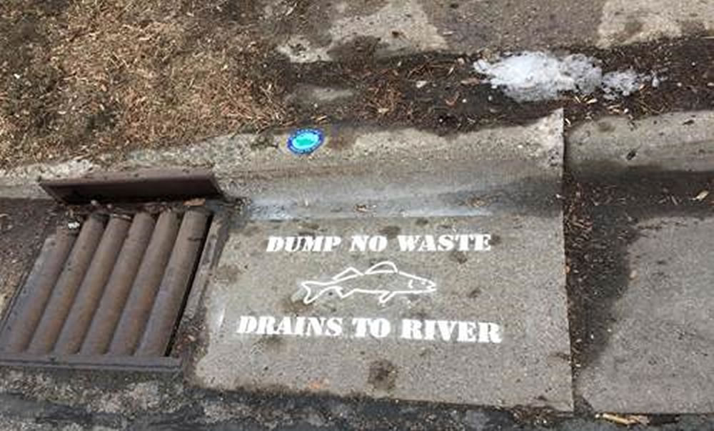 New City Charter students helped clean and stencil this nearby stormdrain.
